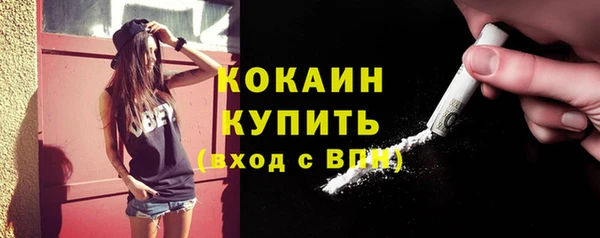 хмурый Арсеньев